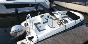 Bayliner Element E5 int 2