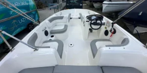 Bayliner Element E5 int 3