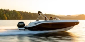 bateau-bayliner-dx2000