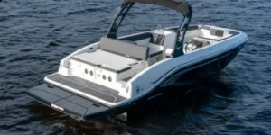 bateau-bayliner-dx2050