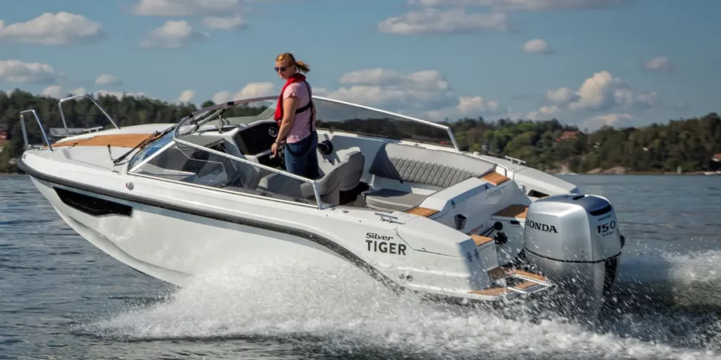 Silver Boats Tiger DCz