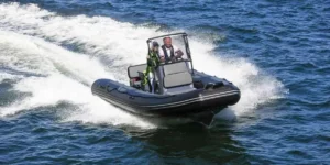 Zodiac Pro 550